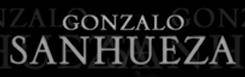 logo Gonzalo Sanhueza logo Gonzalo Sanhueza